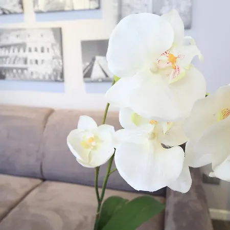 فندق Pirandello 3*